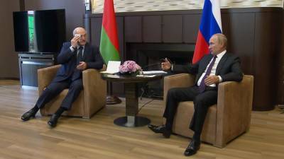 Владимир Путин - Александр Лукашенко - Кремль подтвердил новость о разговоре Путина и Лукашенко - vesti.ru - Москва - Сочи - Белоруссия