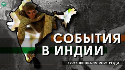 Возобновление туризма и закупка нефти у Ирана — что произошло в Индии с 17 по 23 февраля - riafan.ru - Швеция - Венесуэла - Иран - Нью-Дели