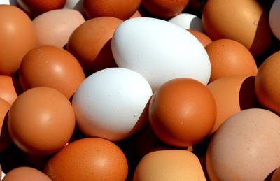 Владислава Магалецкая - Эфиопия открыла рынок для яиц из Украины - agroportal.ua - Гана - Алжир - Юар - Марокко - Ангола - Эфиопия