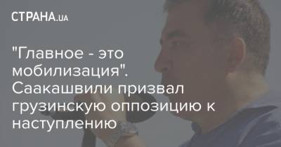 Михаил Саакашвили - "Главное - это мобилизация". Саакашвили призвал грузинскую оппозицию к наступлению - strana.ua - Грузия