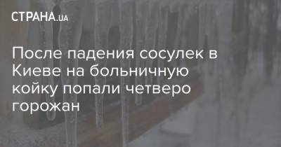 После падения сосулек в Киеве на больничную койку попали четверо горожан - strana.ua - Киев