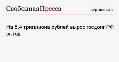 На 5,4 триллиона рублей вырос госдолг РФ за год - svpressa.ru
