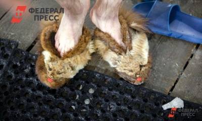 Владимир Путин - Евгений Поторочин - В Подмосковье больше 100 человек облились водой в мороз - fedpress.ru - Московская обл. - Красногорск