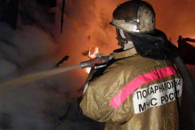 Двоих взрослых и ребенка спасли из страшного пожара в Томске - tomsk.mk.ru - Томск