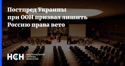 Сергей Кислица - Постпред Украины при ООН призвал лишить Россию права вето - nsn.fm - Москва - Украина