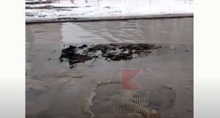 Краснодарцы связали затопление улиц сточными водами с хаотичной застройкой - kavkaz-uzel.eu - Краснодар
