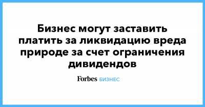 Бизнес могут заставить платить за ликвидацию вреда природе за счет ограничения дивидендов - forbes.ru