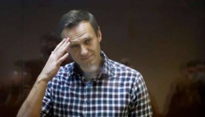 Александр Артемьев - Навальный - Amnesty International отказалась признавать Навального узником совести - lenta.ua - США