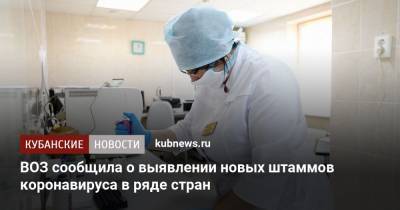 Анна Попова - ВОЗ сообщила о выявлении новых штаммов коронавируса в ряде стран - kubnews.ru - Англия - Япония - Бразилия - Юар