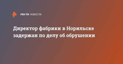 Директор фабрики в Норильске задержан по делу об обрушении - ren.tv - Норильск