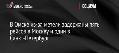 В Омске из-за метели задержаны пять рейсов в Москву и один в Санкт-Петербург - ivbg.ru - Москва - Россия - Санкт-Петербург - Новосибирск - Омск