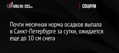 Николай Бондаренко - Почти месячная норма осадков выпала в Санкт-Петербурге за сутки, ожидается еще до 10 см снега - ivbg.ru - Россия - Санкт-Петербург