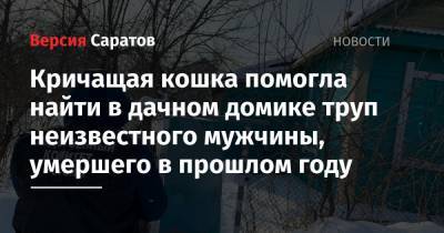 Кричащая кошка помогла найти в дачном домике труп неизвестного мужчины, умершего в прошлом году - nversia.ru - Саратов