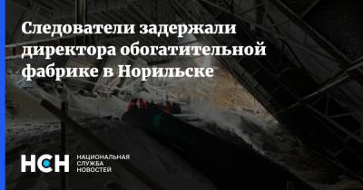 Следователи задержали директора обогатительной фабрике в Норильске - nsn.fm - Москва - Норильск - Следственный Комитет