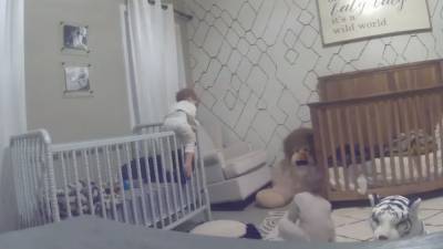 Братья пытались сбежать из своих детских кроваток: курьезное видео - 24tv.ua