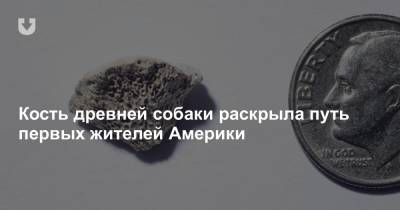 Кость древней собаки раскрыла путь первых жителей Америки - news.tut.by - Белоруссия - Канада - шт.Аляска
