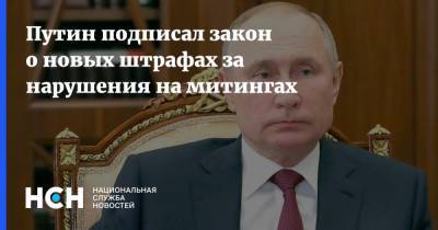 Владимир Путин - Путин подписал закон о новых штрафах за нарушения на митингах - nsn.fm