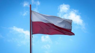 Польский политолог заявила, что Варшава сама провоцирует Россию на раздоры - newinform.com - Москва - Россия - Белоруссия - Польша - Варшава - Брюссель