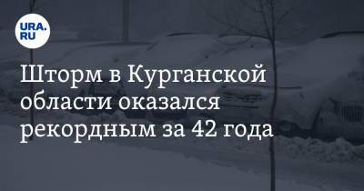 Шторм в Курганской области оказался рекордным за 42 года - ura.news - Курганская обл.