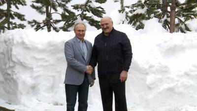 Владимир Путин - Дмитрий Песков - Александр Лукашенко - В Кремле рассказали, о чем говорил Путин с Лукашенко - vesti.ru - Сочи - Белоруссия