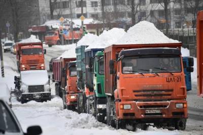 Синоптики предупредили о возобновлении сильного снегопада в Москве 24 февраля - argumenti.ru - Москва