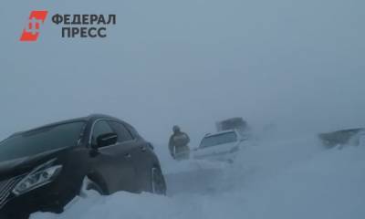 Виталий Пашин - УФАС проверит рост цен на такси в непогоду в Челябинске - fedpress.ru - Челябинск