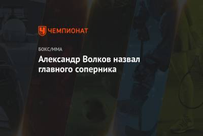 Александр Волков - Александр Волков назвал главного соперника - championat.com