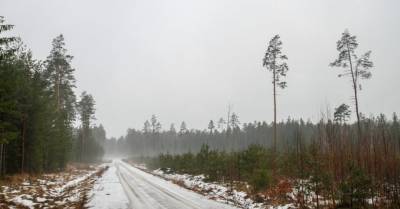 Метеорологи: сегодня качество воздуха в Латвии будет еще хуже - rus.delfi.lv - Латвия - Riga
