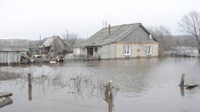 В Пензенской области при паводке может затопить 54 населенных пункта - penzainform.ru - Пензенская обл.