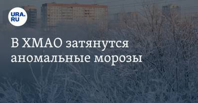 В ХМАО затянутся аномальные морозы - ura.news - Югра