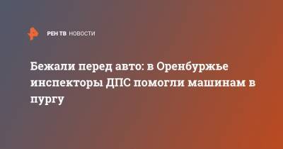 Бежали перед авто: в Оренбуржье инспекторы ДПС помогли машинам в пургу - ren.tv - Оренбургская обл.