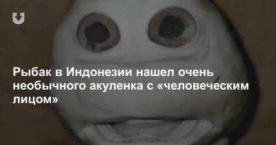 Рыбак в Индонезии нашел очень необычного акуленка с «человеческим лицом» - news.tut.by - Белоруссия - Индонезия