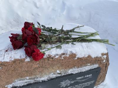 В честь 23 февраля «Единая Россия» провела акцию "Защитим память героев" - lipetskmedia.ru - Приморье край - Петропавловск-Камчатский