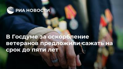 Ирина Яровая - В Госдуме за оскорбление ветеранов предложили сажать на срок до пяти лет - ria.ru - Москва - Россия