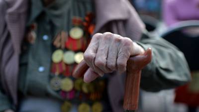 Ирина Яровая - В Госдуме предложили сажать на 5 лет за оскорбление ветеранов - gazeta.ru