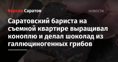 Саратовский бариста на съемной квартире выращивал коноплю и делал шоколад из галлюциногенных грибов - nversia.ru - Саратов