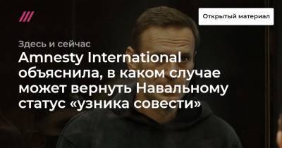 Маргарита Симоньян - Amnesty International объяснила, в каком случае может вернуть Навальному статус «узника совести» - tvrain.ru