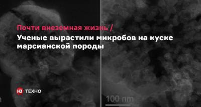 Почти внеземная жизнь. Ученые вырастили микробов на куске марсианской породы - nv.ua