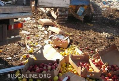 Вот это поворот: Россия одним ударом рассорила Польшу и Латвию - rusonline.org - Варшава - Латвия