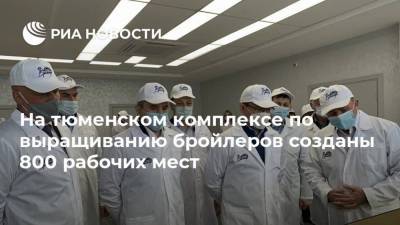 На тюменском комплексе по выращиванию бройлеров созданы 800 рабочих мест - smartmoney.one - Тюменская обл.