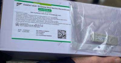 Сергей Борзов - В Винницкой области начали вакцинацию от COVID-19: первую прививку получила семейный врач - tsn.ua - Винницкая обл.