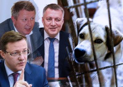Игорь Кобзев - Губернаторы отправляют мэров бегать за дворняжками - mskgazeta.ru - Иркутская обл.