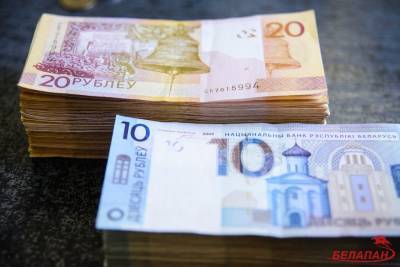 Средняя зарплата в январе снизилась на 12,5% - naviny.by - Минск
