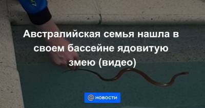 Екатерина Гура - Австралийская семья нашла в своем бассейне ядовитую змею (видео) - news.mail.ru - Австралия