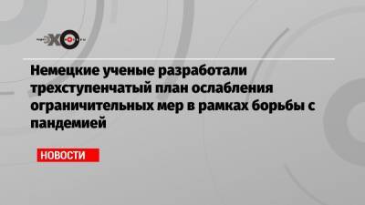 Немецкие ученые разработали трехступенчатый план ослабления ограничительных мер в рамках борьбы с пандемией - echo.msk.ru