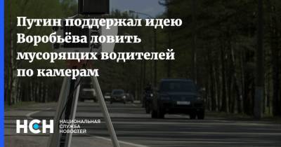 Владимир Путин - Андрей Воробьев - Александр Орлов - Рашид Исмаилов - Путин поддержал идею Воробьёва ловить мусорящих водителей по камерам - nsn.fm - Москва - Московская обл.