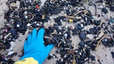 Можно ли было предотвратить экологическую катастрофу на побережье Израиля - vesty.co.il