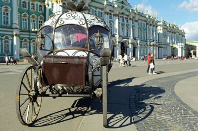 В Петербурге могут выделить места для катания на лошадях и каретах - neva.today - Санкт-Петербург