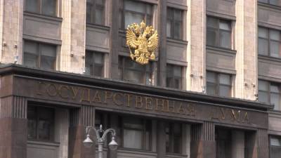Ирина Яровая - Депутаты ГД РФ всех фракций внесли поправки о сроке за оскорбление ветеранов - nation-news.ru
