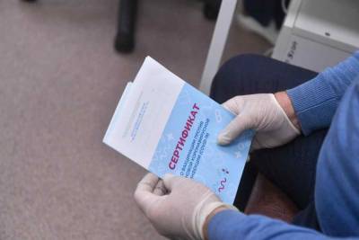 «Частичка нормальности»: цифровые паспорта вакцинации готовятся ввести в Европе - live24.ru